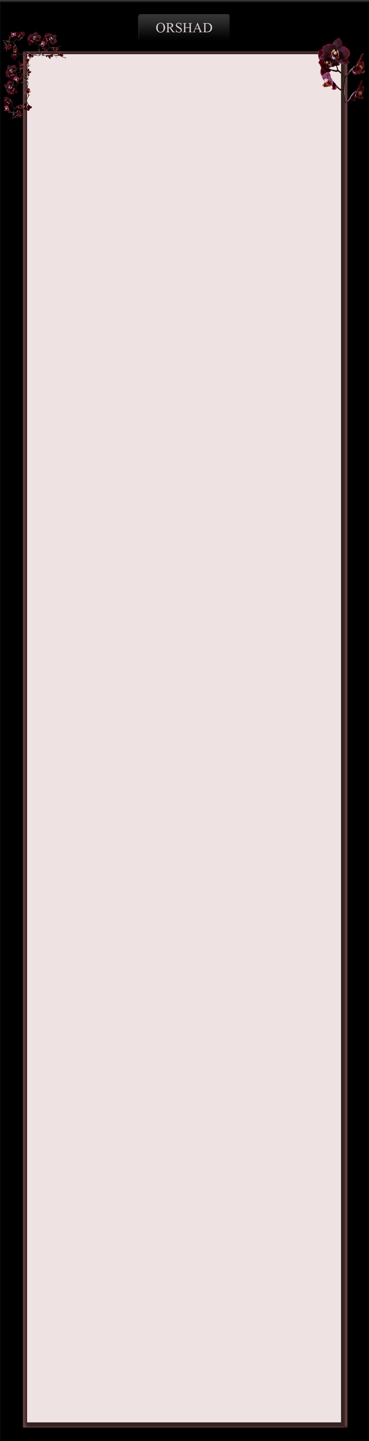 myspace_layout copy.jpg